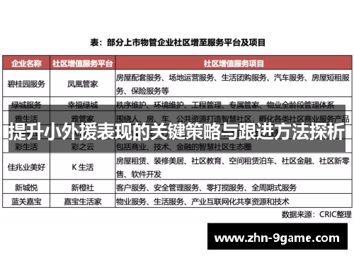 提升小外援表现的关键策略与跟进方法探析