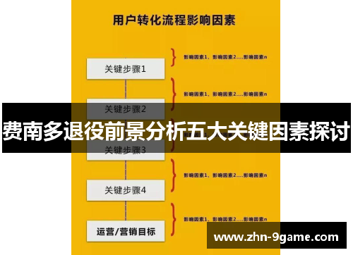 费南多退役前景分析五大关键因素探讨