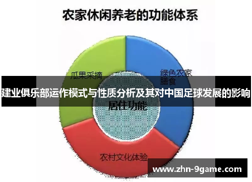 建业俱乐部运作模式与性质分析及其对中国足球发展的影响 建业俱乐部运作模式与性质分析及其对中国足球发展的影响