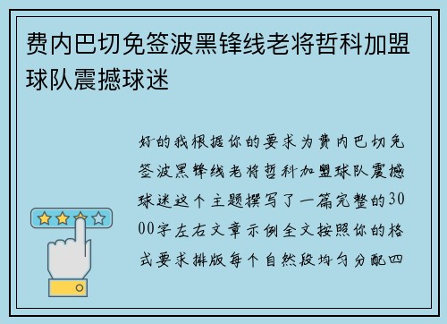 费内巴切免签波黑锋线老将哲科加盟球队震撼球迷